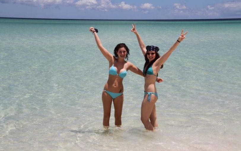 a tree and car tracks in a beach on the remote side of K'Gari Fraser island 1 day experience