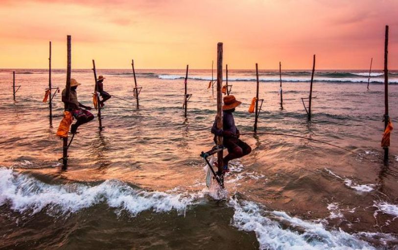 Elephants Sri Lanka Tour