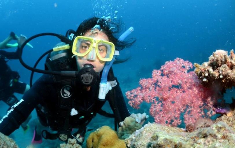 Three scuba divers under the water beside coral reef swimming through a school of fish