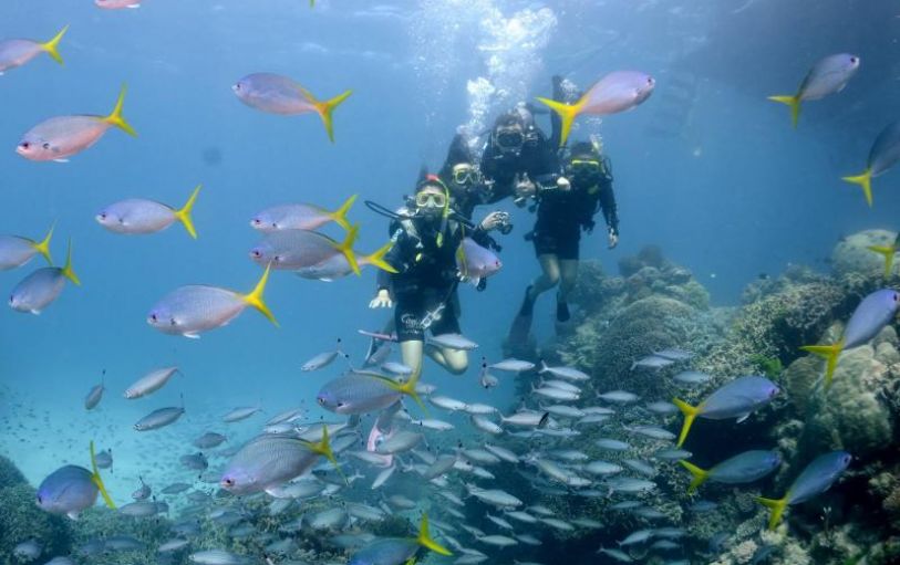 Three scuba divers under the water beside coral reef swimming through a school of fish