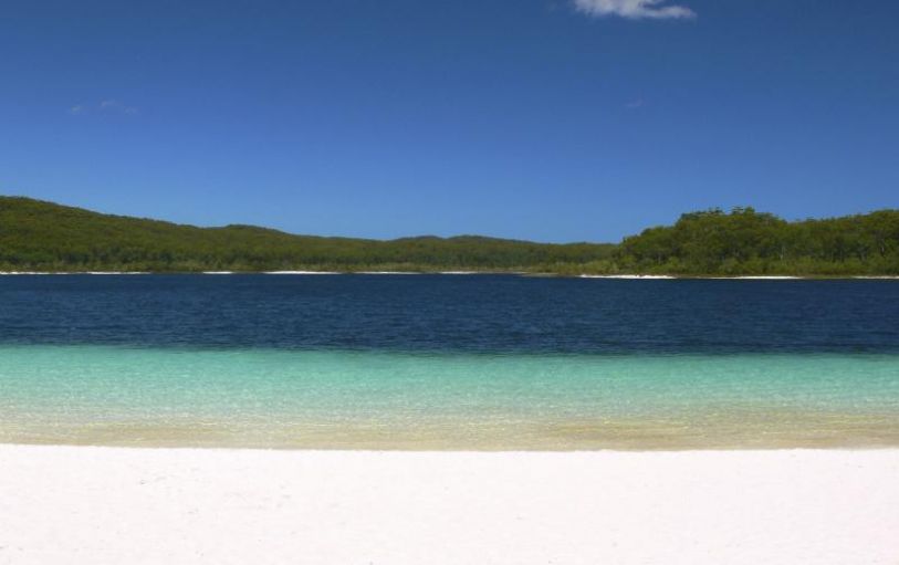 Eli Creek K'gari Fraser IslandBackpackers on a Dingo's K'Gari Fraser Island trip floating down the Eli Creek fresh water spring on inflatable tubes