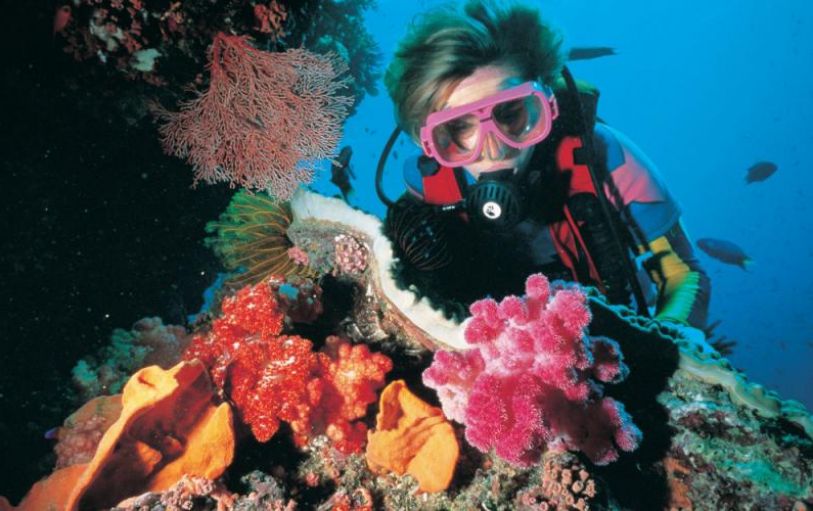 A giant inflatable slide on the Clipper, a the 2 day trip on the Whitsunday Islands