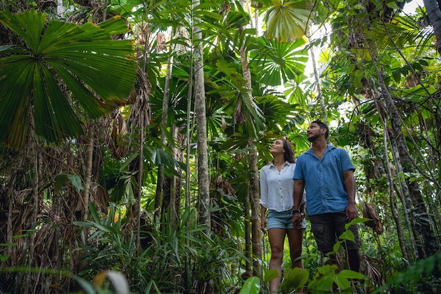 Traveller in waterfall