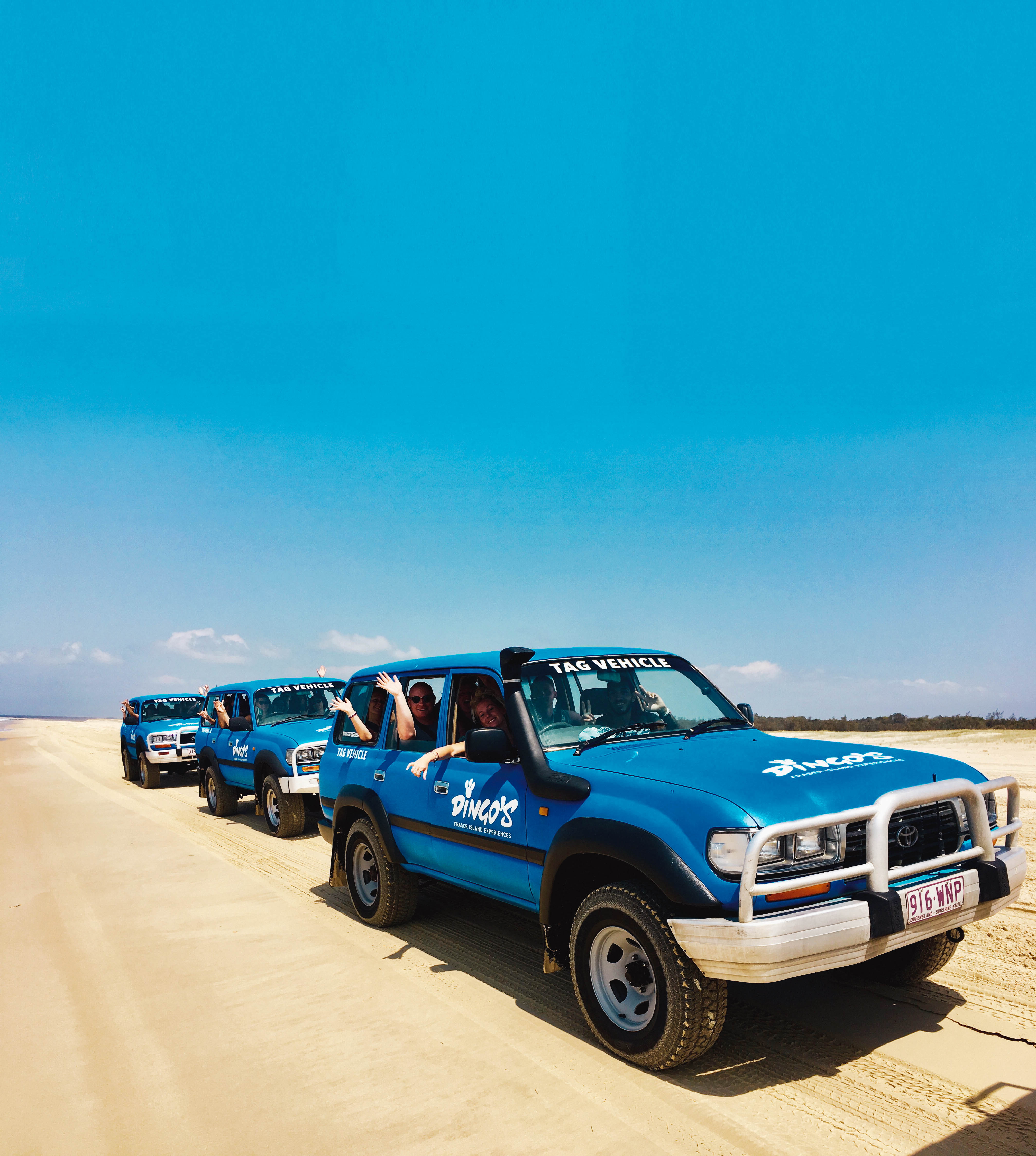 Dingos 3 Day Images 66