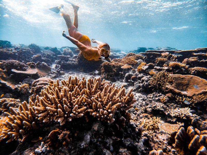 Image of Woman snorkelling in coral reefs in Fiji