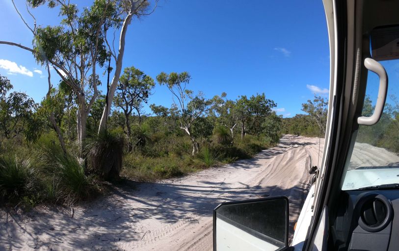 A aerial view of the coastline on K'gari Fraser island during the Dingo's 2 day 1 night camping trip