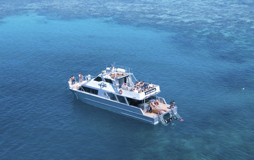 aerial view of the ocean freedom boat on it's way to the great barrier reef