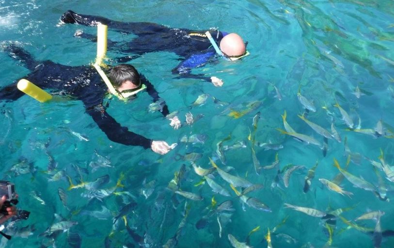 Aerial view of the Thundercat speedboat on it's way to the Whitsundays islands and Whitehaven beach
