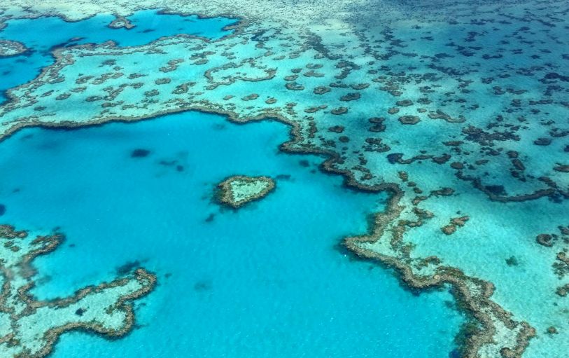 Backpackers on the East Coast in Bounce Noosa hostel enjoying the pool