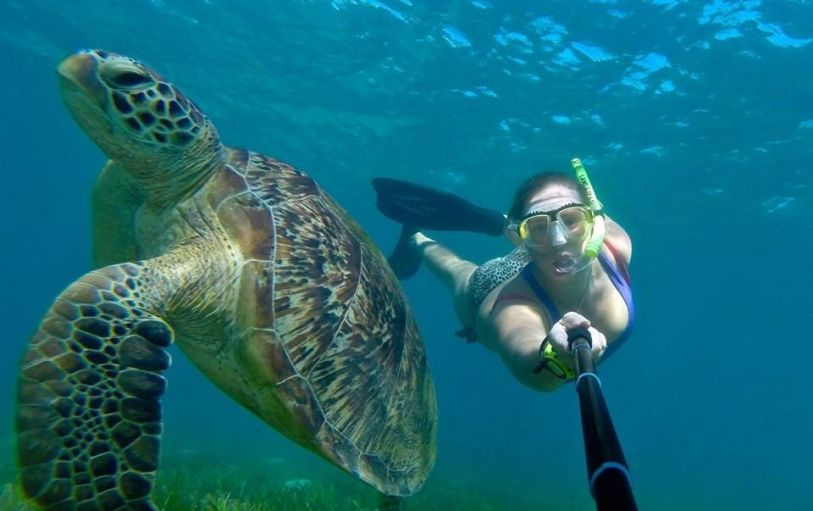 Backpackers on the East Coast in Bounce Noosa hostel enjoying the pool