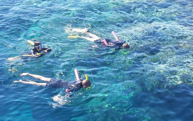 Three scuba divers under the water beside coral reef swimming through a school of fish
