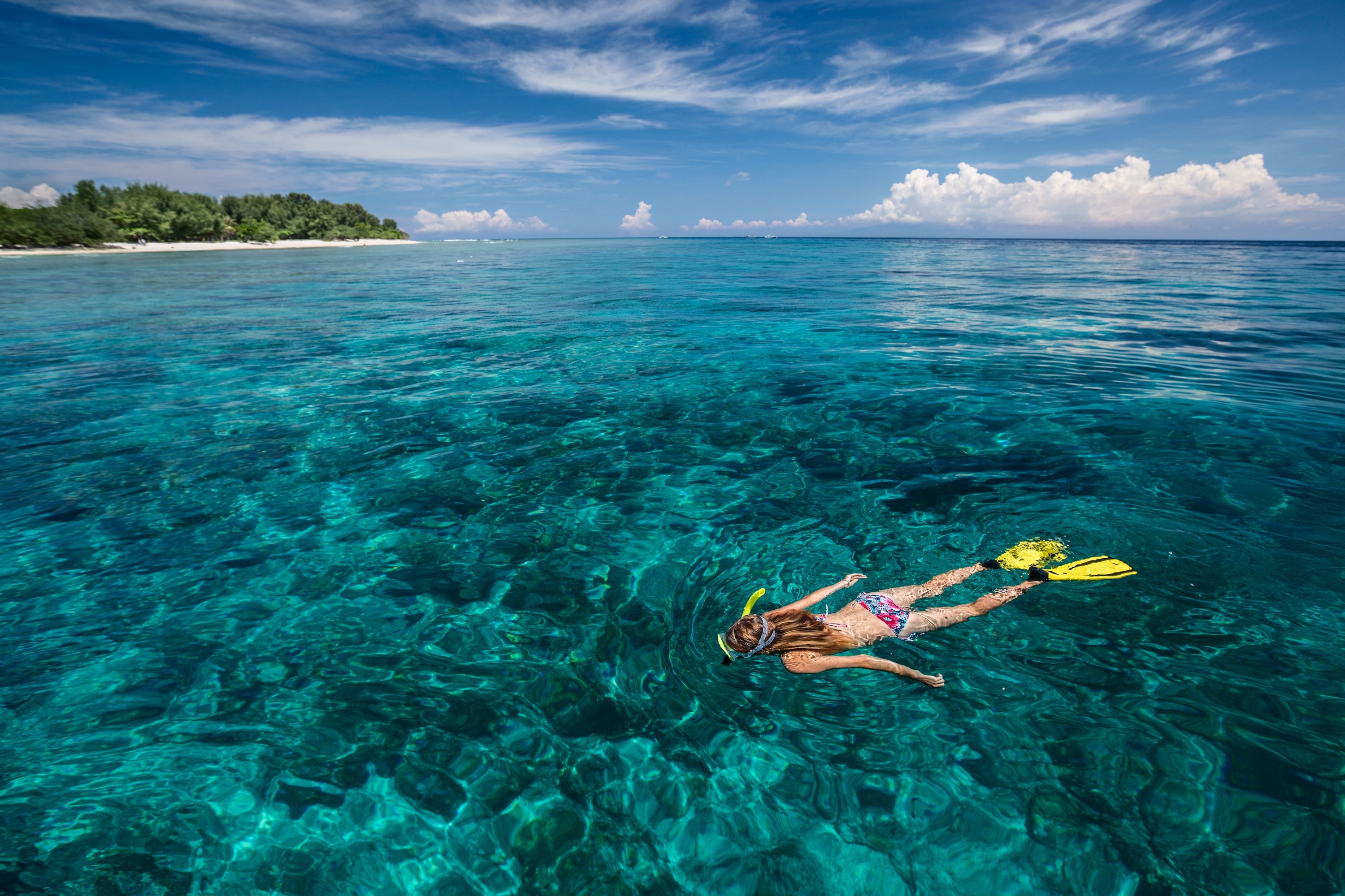 a backpacker snorkelling above the Great Barrier Reef