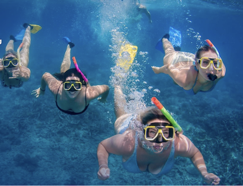 A group of friends snorkelling and having fun on the Reef encounter overnight live aboard