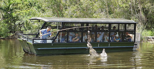 A group of backpackers feeding a crocodile from a boat cruise at the Hartleys big croc feed