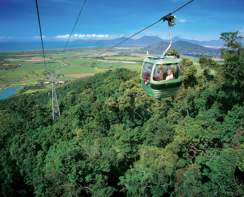A gondola over the daintree rainforest as part of the tropic wings kuranda scenic railway and skyrail tour