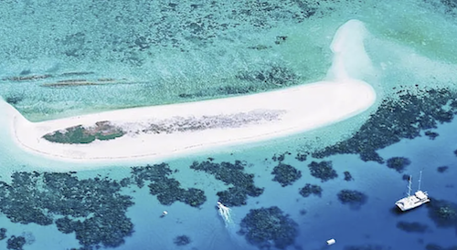 The Ocean spirit great barrier reef day trip docked at Michaelmas Cay