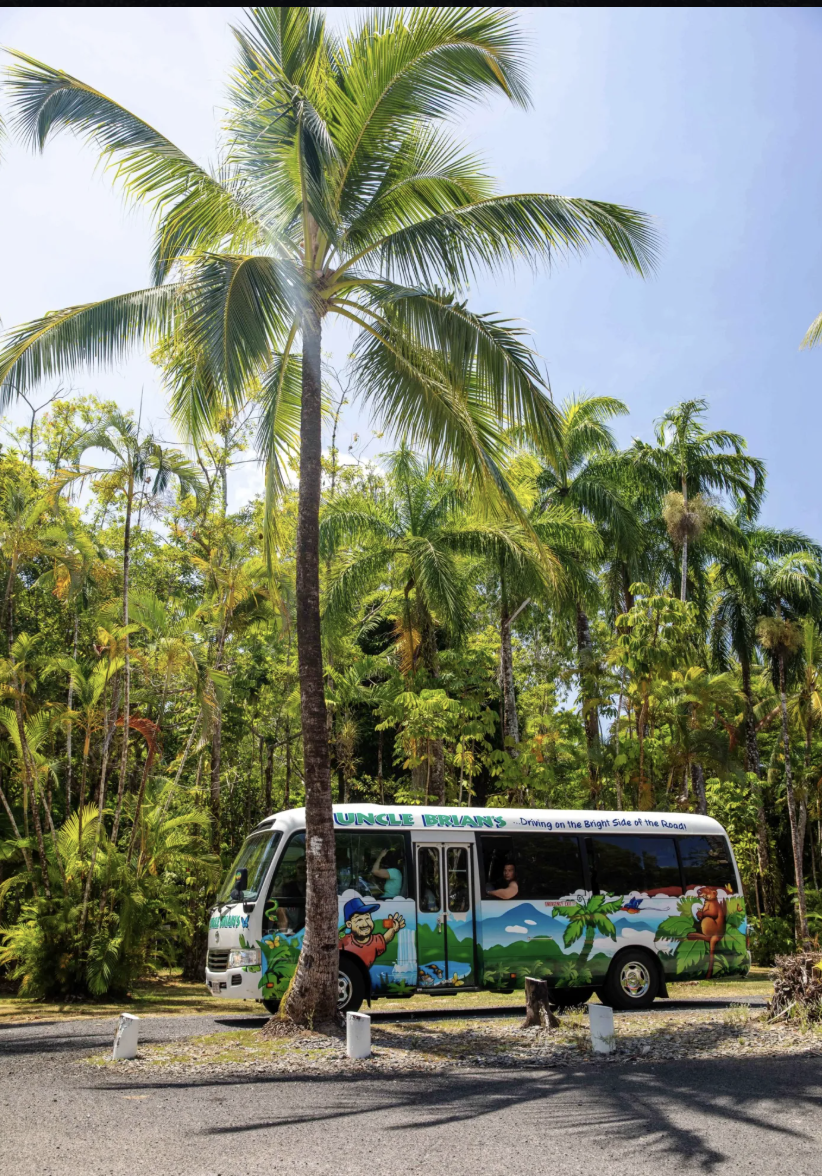 Gus the Bus behind a palm tree on the Uncle Brians Daintree Rainforest tour